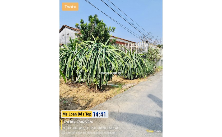 Bán đất thổ cư hơn 200m² xã An Lục Long, Châu Thành, Long An sổ hồng riêng